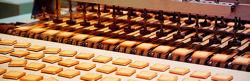 Get up close to Shiroi Koibito cookies at the factory